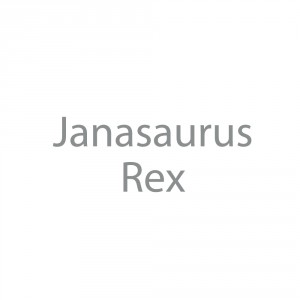 Dino prostrn Janasaurus Rex - Cena : 35,- K s dph 