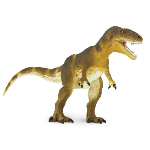 Obrázek Carcharodontosaurus
