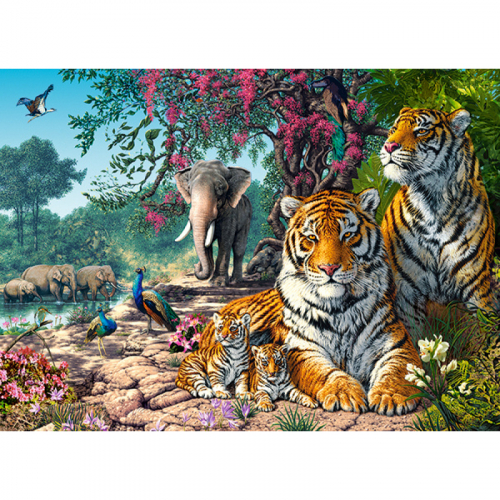 Obrázek Puzzle Castorland 3000 dílků - Tygří rezervace