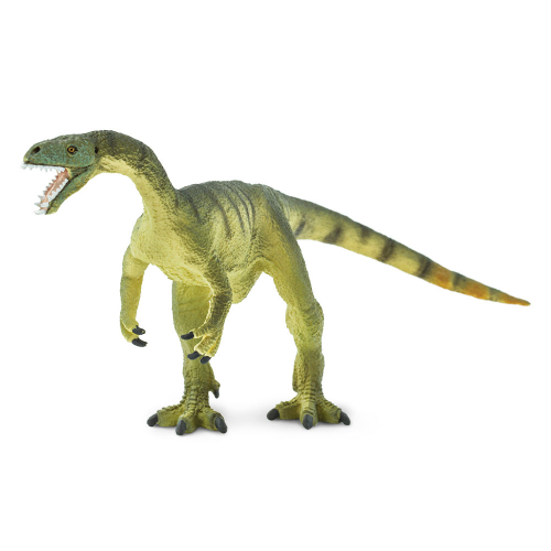 Obrázek Masiakasaurus