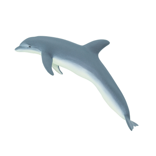 Obrázek Delfín skákavý