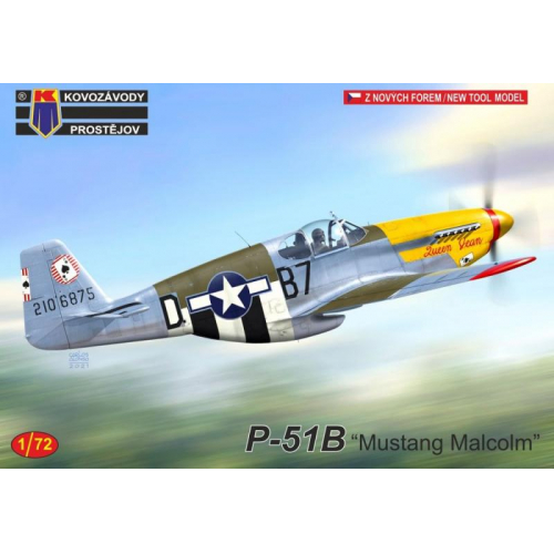 Obrázek P-51B Mustang Malcolm