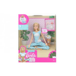 Barbie Wellness panenka a meditace GNK01 - Cena : 770,- K s dph 