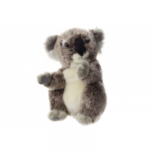 Ply Koala - Cena : 213,- K s dph 