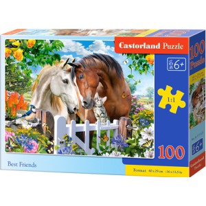 Puzzle Castorland 100 dlk premium - Nejlep ptel - Cena : 120,- K s dph 