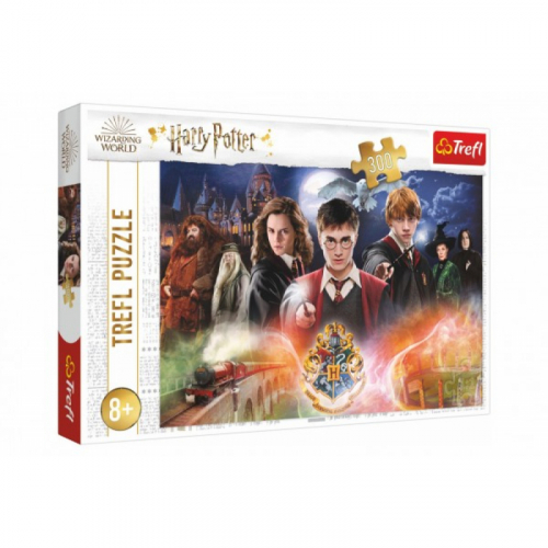 Obrzek Puzzle Tajemstv Harry Potter 300dlk 60x40cm v krabici 40x27x4cm