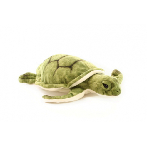 Obrázek Plyš želva