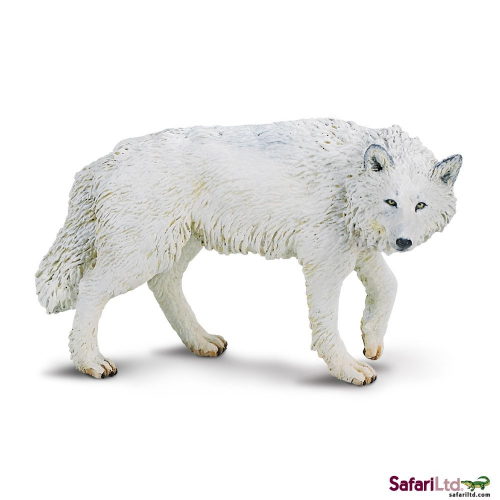 Obrázek Vlk polární