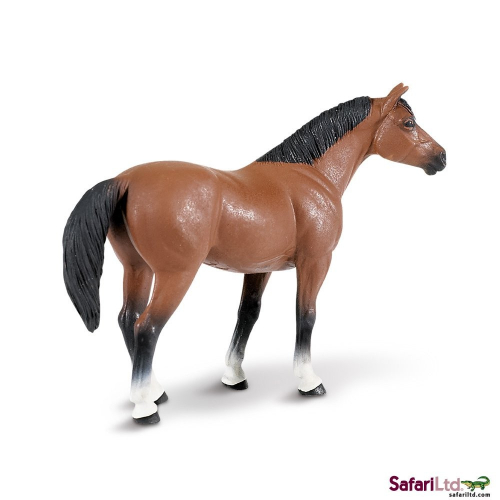 Obrázek Americký kovbojský kůň