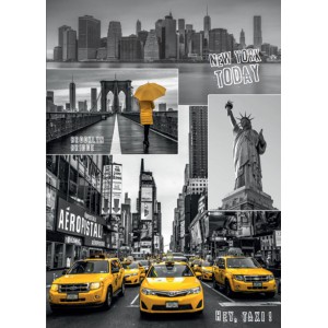 Puzzle New York - kol 1000D - Cena : 199,- K s dph 